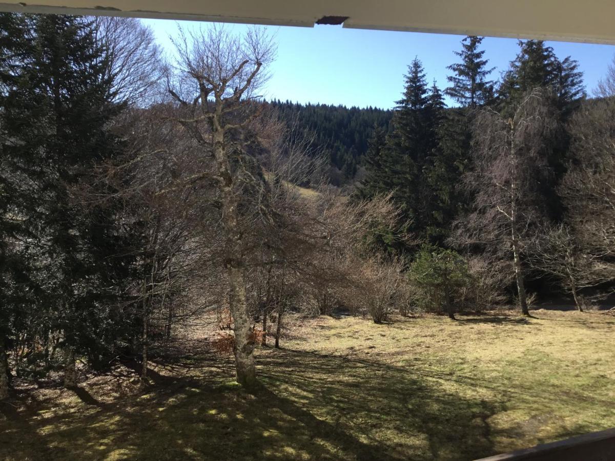 Lo Vedelier D'Aubrac Apartment Лагиол Екстериор снимка