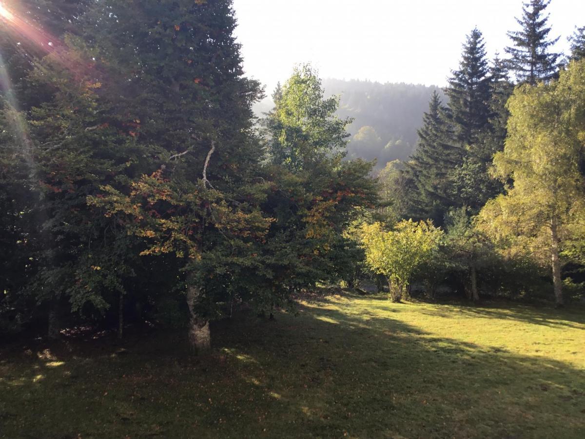 Lo Vedelier D'Aubrac Apartment Лагиол Екстериор снимка
