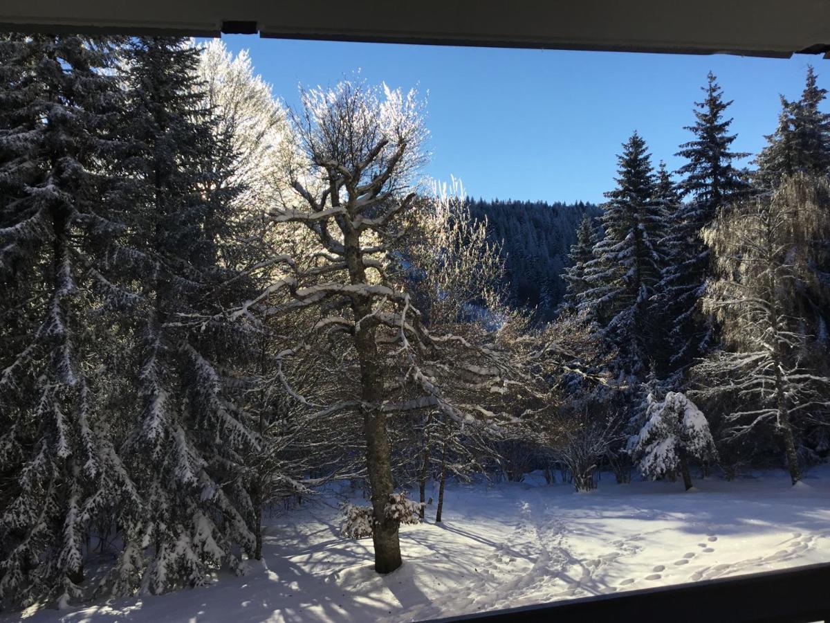 Lo Vedelier D'Aubrac Apartment Лагиол Екстериор снимка